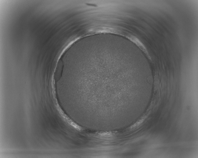 X0000067330798200604071324