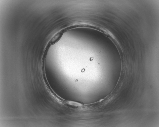 X0000067330799200604071324