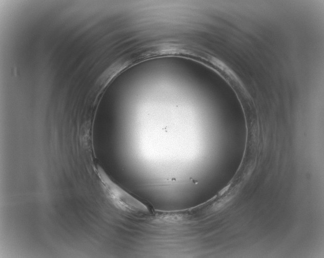 X0000067330801200604071324