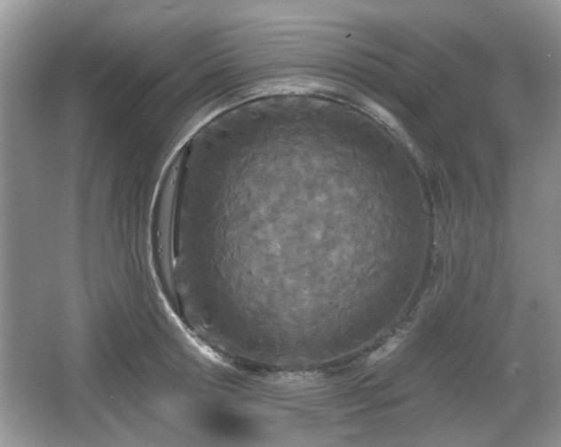 X0000067330802200604071324