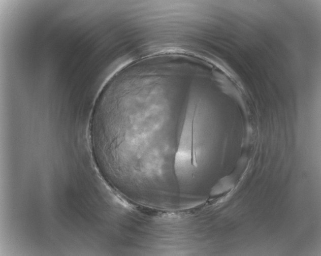 X0000067330806200604071324