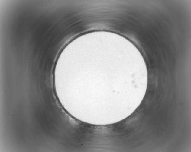 X0000067330807200604071324