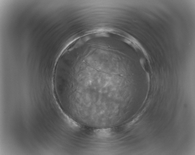 X0000067330810200604071324