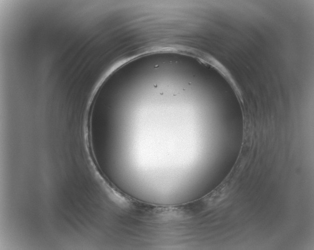 X0000067330811200604071324