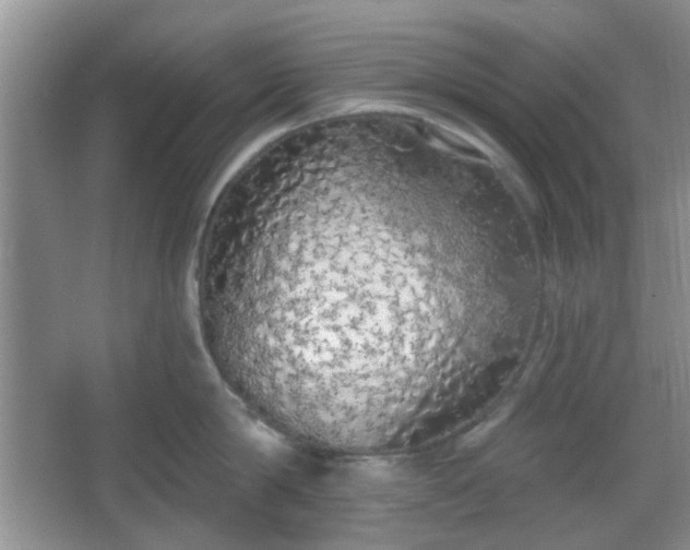 X0000067330814200604071323