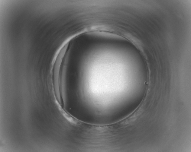 X0000067330816200604071323