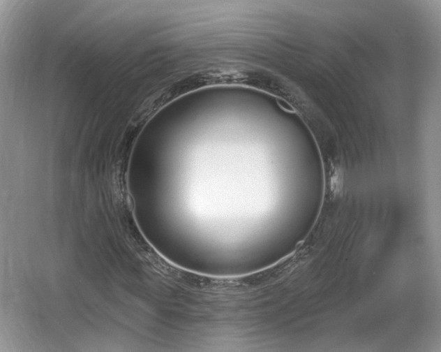 X0000067330819200604071323