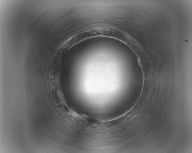 X0000067330822200604071323