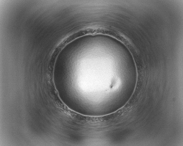 X0000067330823200604071323