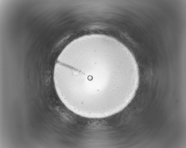 X0000067330824200604071323