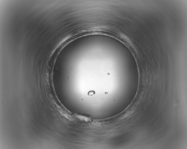 X0000067330827200604071323