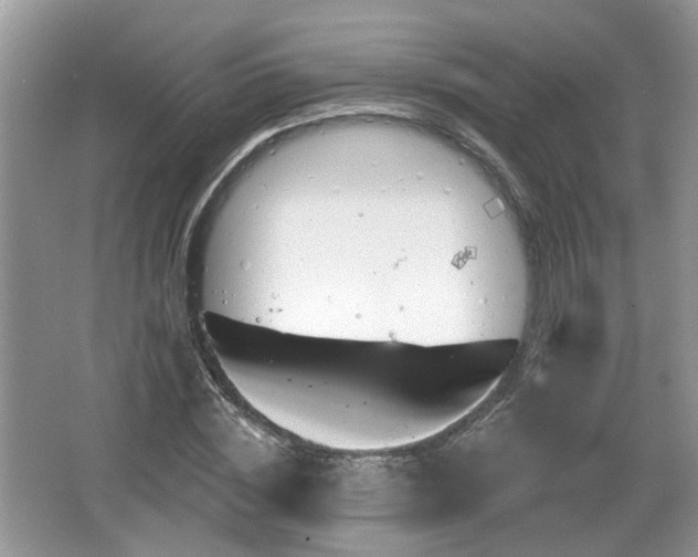 X0000067330828200604071323