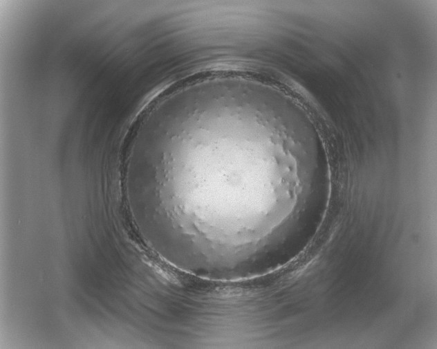 X0000067330829200604071323