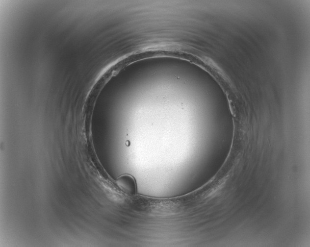 X0000067330830200604071323