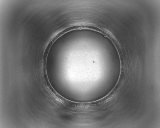 X0000067330831200604071323