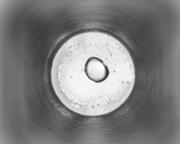 X0000067330832200604071323