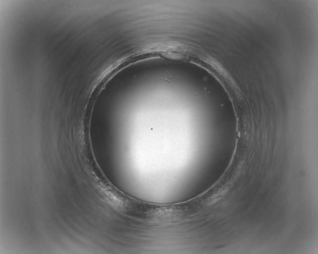 X0000067330834200604071323