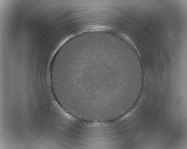 X0000067330835200604071323