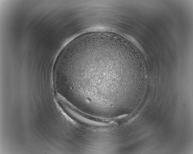 X0000067330839200604071323