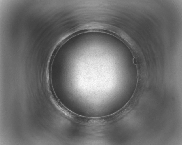 X0000067330840200604071323