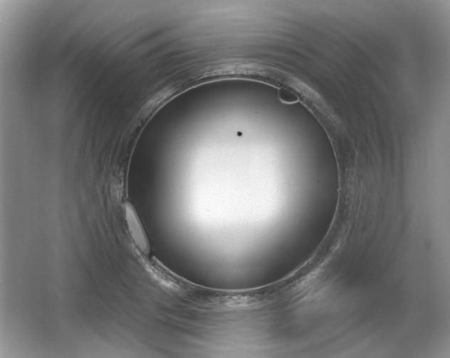 X0000067330841200604071323