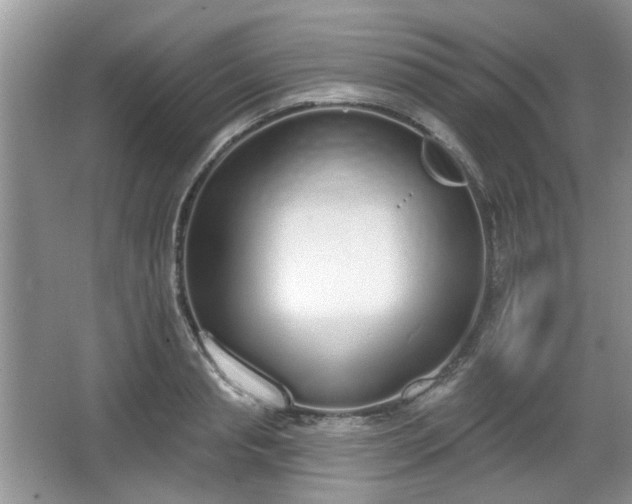 X0000067330845200604071323