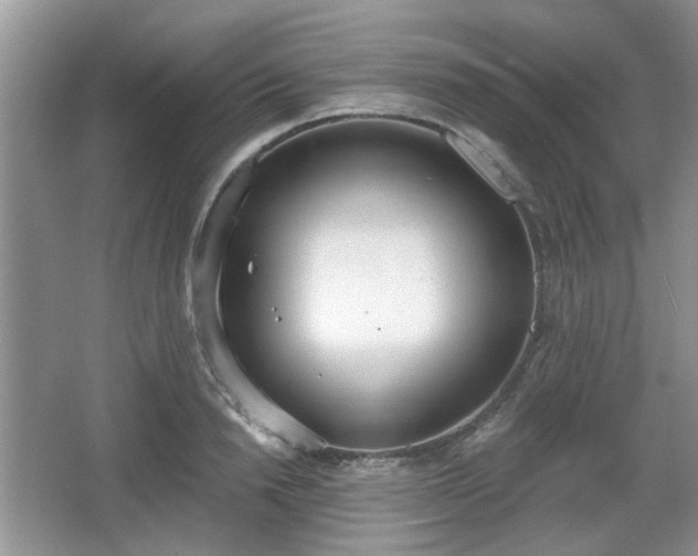 X0000067330846200604071323