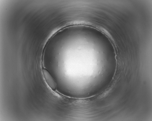 X0000067330847200604071323