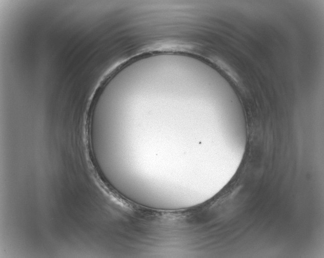 X0000067330848200604071323