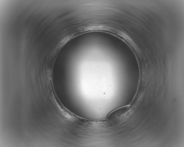 X0000067330849200604071323