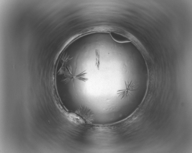 X0000067330852200604071323