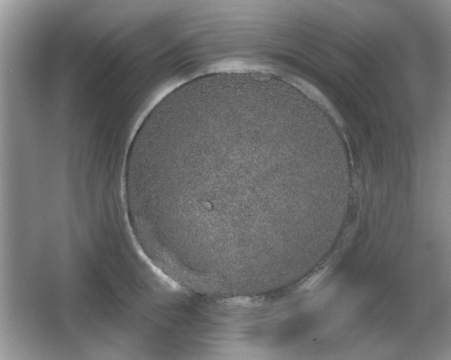 X0000067330855200604071323