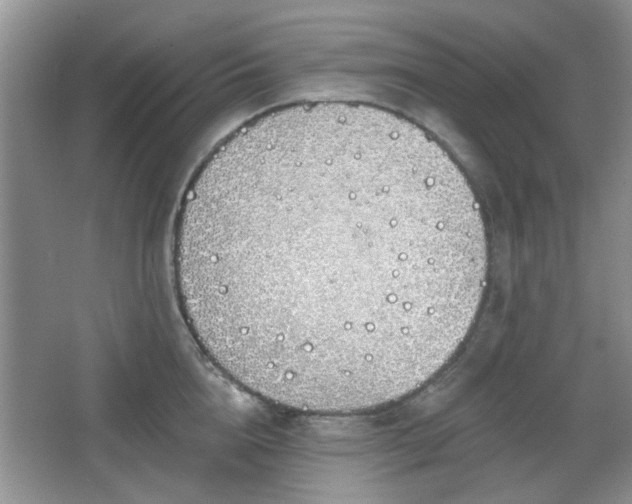 X0000067330856200604071323