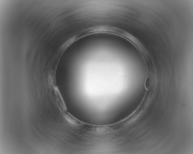 X0000067330857200604071323