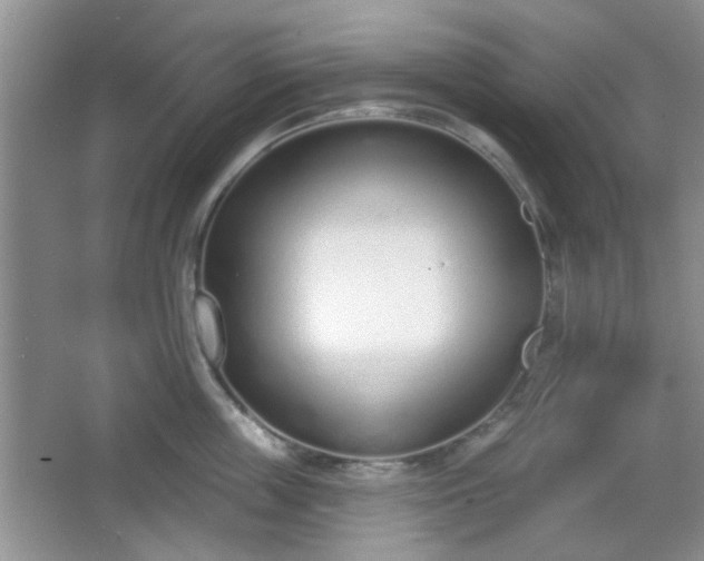 X0000067330859200604071323