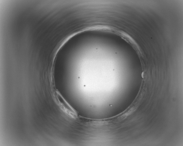 X0000067330860200604071323