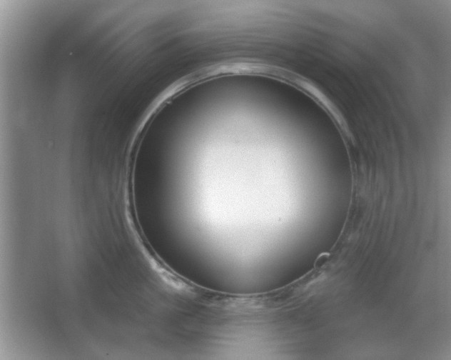 X0000067330861200604071323