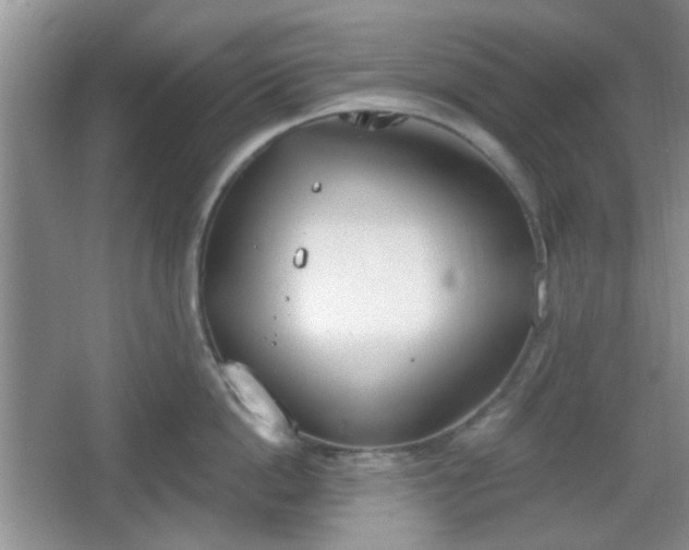 X0000067330862200604071323