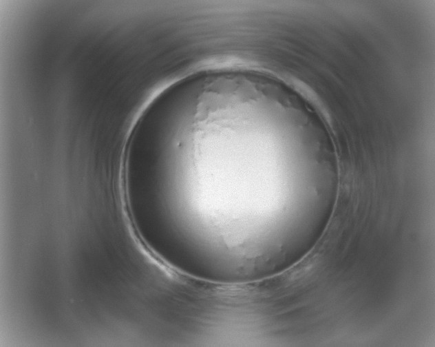 X0000067330863200604071323