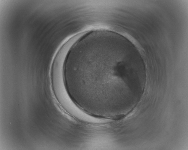 X0000067330864200604071323