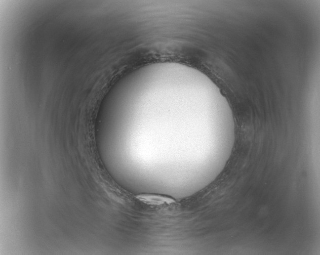 X0000067330865200604071323