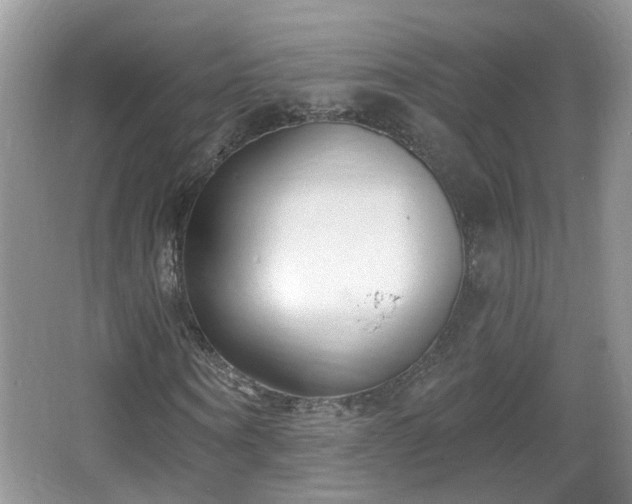 X0000067330866200604071323