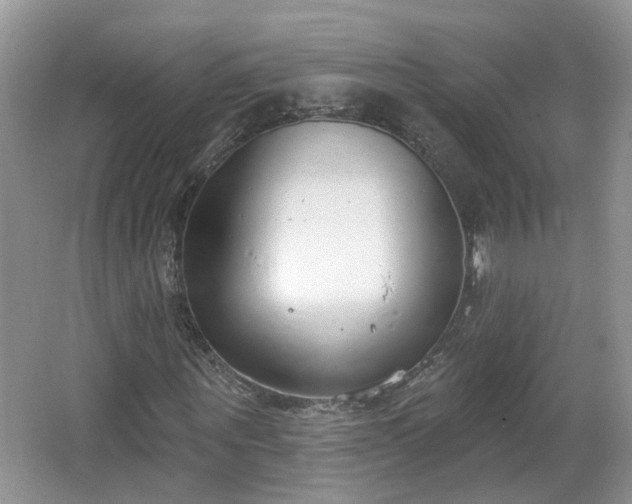 X0000067330867200604071323