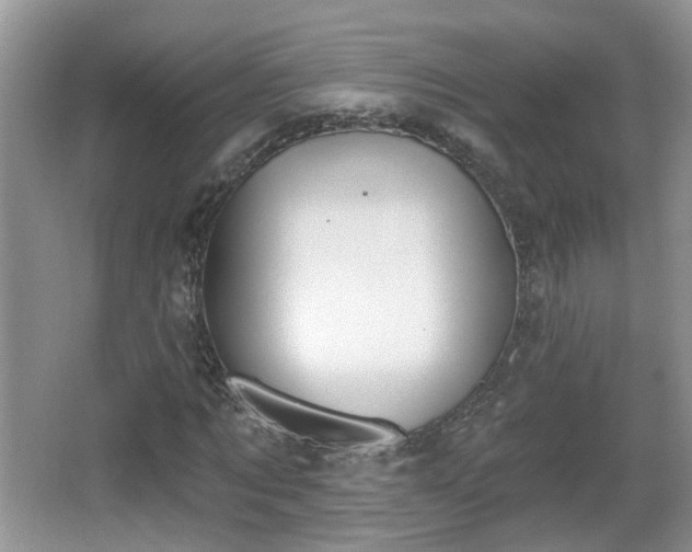 X0000067330869200604071323