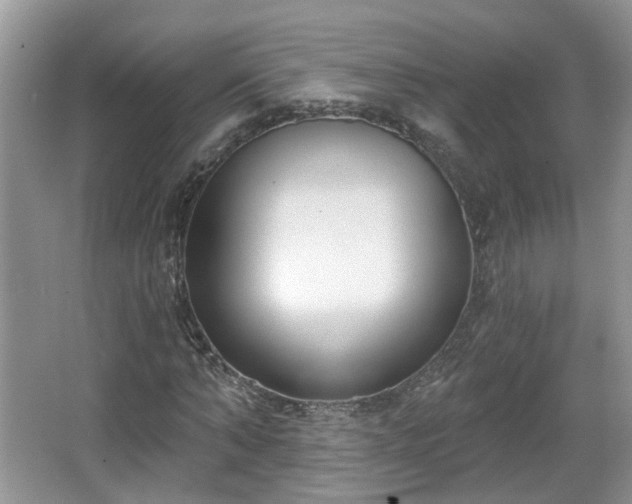 X0000067330870200604071323