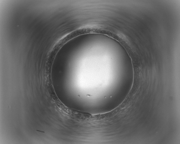 X0000067330872200604071322