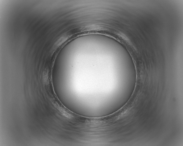 X0000067330873200604071322