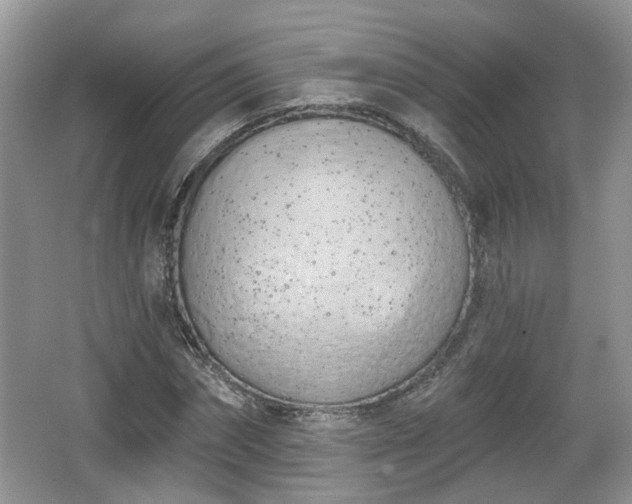 X0000067330874200604071322