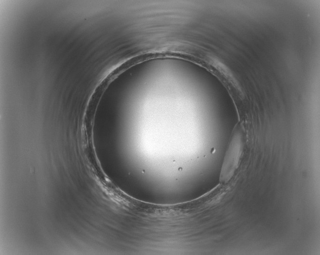 X0000067330876200604071322