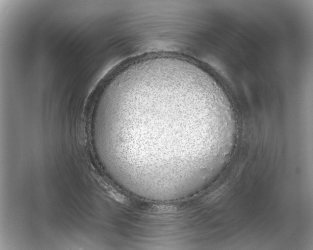 X0000067330878200604071322